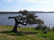 Embalse de Cornalvo